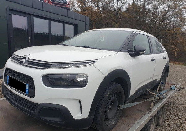 Citroen C4 Cactus cena 20000 przebieg: 22000, rok produkcji 2019 z Gniew małe 79